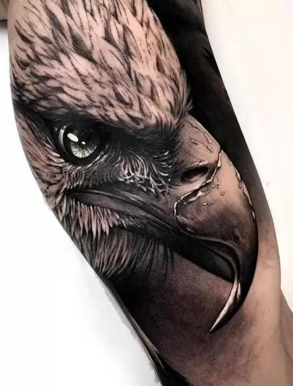 Realistic eagle head tattoo